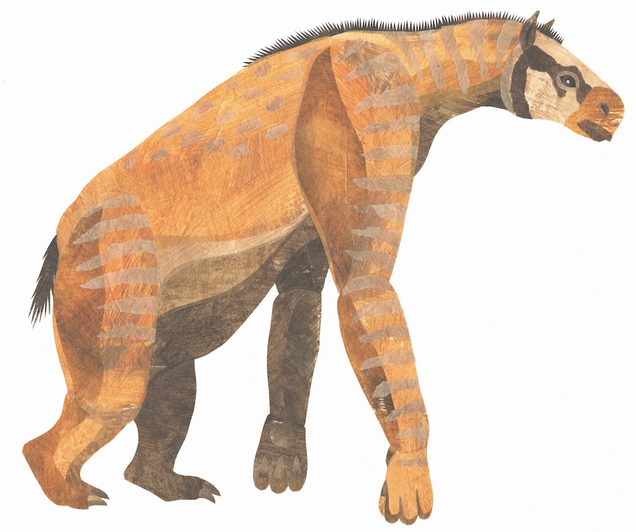 Chalicotherium. Gorillahesten.